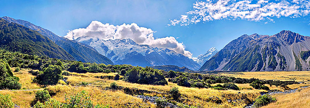 雪,库克山,奥拉基,山脉,灌木,风景,库克山国家公园,新西兰,阿尔卑斯山,南岛,大洋洲