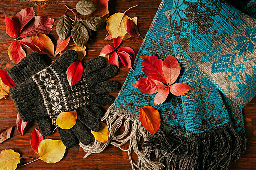 手套,围巾,彩色,秋天,叶子,风景,俯视