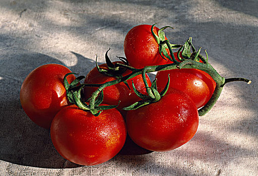 束,西红柿,主题,花园
