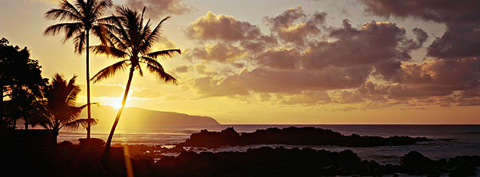 夏威夷,瓦胡岛,日落,岛屿,大幅,尺寸