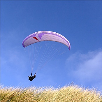紫色,滑翔伞