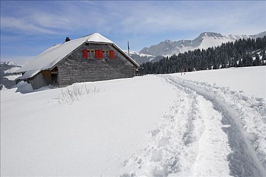 痕迹,雪地鞋,远足者,弗里堡,瑞士