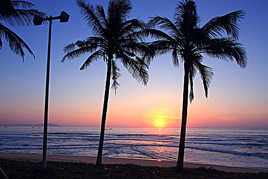 椰树夕阳
