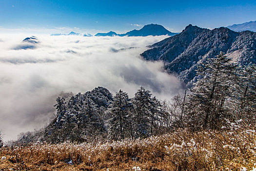 西岭雪山大雪的美丽风景