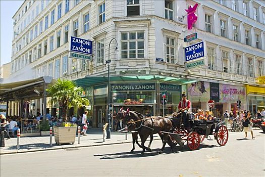 马车,正面,冰淇淋店,维也纳,奥地利