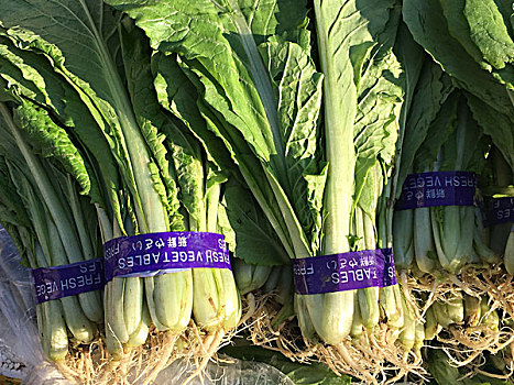 2018年1月10日北京丰台区马家堡自由市场各类蔬菜