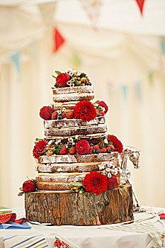 特写,婚礼蛋糕,装饰,草莓,奶油,新鲜,红花,大丽花,圆木