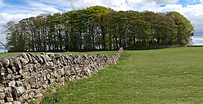 石墙,土地,诺森伯兰郡,英格兰