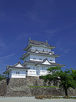 小田原,城堡