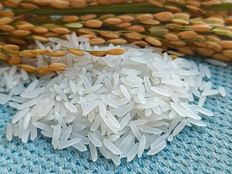 稻米,香米
