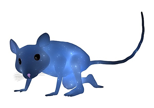 蓝色,老鼠
