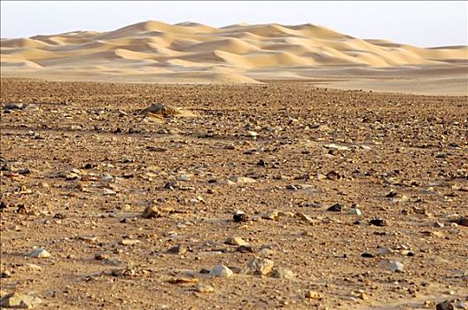 过渡,荒芜,岩石,沙漠,沙,撒哈拉沙漠,利比亚