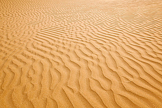 沙丘,区域,撒哈拉沙漠,靠近,摩洛哥,非洲