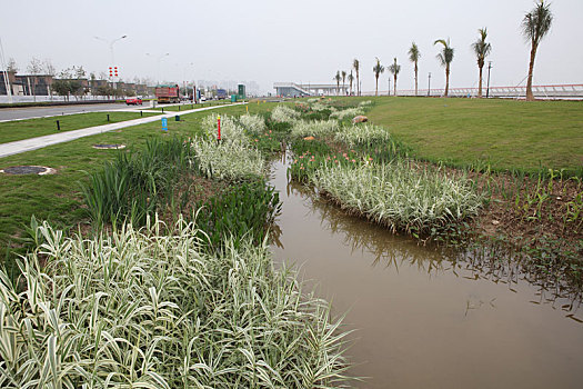 珠海,海滨公园,情侣大道,绿地,休闲,港珠澳大桥,城市,建筑