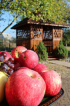 红苹果,藤架,背景
