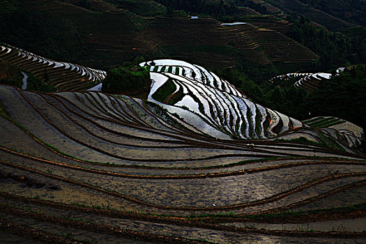 龙胜梯田