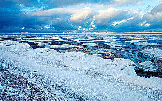 冬天,海边风景,漂浮,冰,碎片,海水,海湾,芬兰,俄罗斯