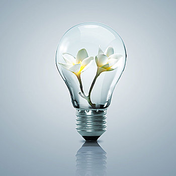 电灯,灯泡,花,室内,象征,清洁能源