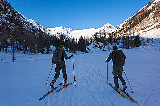 滑雪,登山者,陶安,提洛尔,奥地利