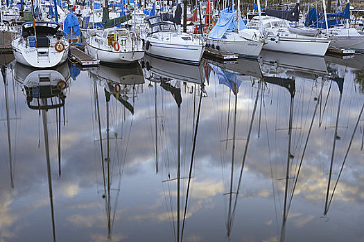 帆船,河流,福尔斯湾,温哥华,不列颠哥伦比亚省,加拿大