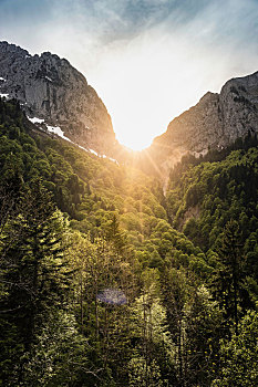 晴天,法国阿尔卑斯山,山丘,隆河阿尔卑斯山省,法国