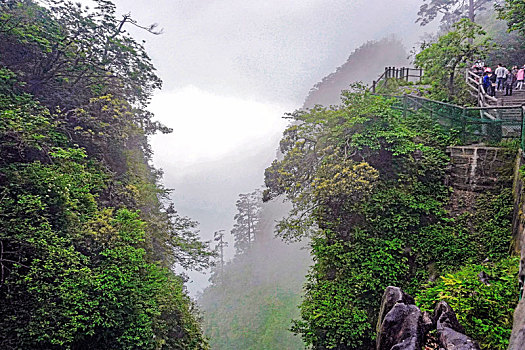 峨眉山胜景-游客戏猴图