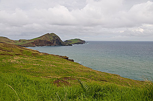 葡萄牙,马德拉岛,沿岸地区,悬崖