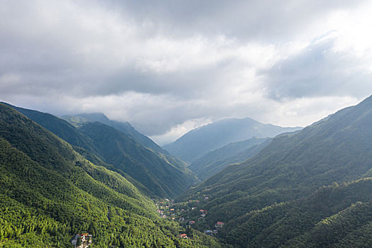 航拍茶园全景