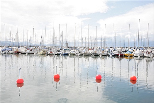 游艇,船,码头,瑞士