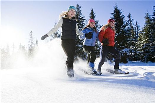 三个女人,年轻,雪鞋,享受,户外,靠近,本垒打,阿拉斯加,冬天