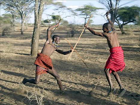 两个,男人,参加,嘲弄,棍,争斗,马萨伊人,邻居,生活方式,坦桑尼亚北部,游牧部落