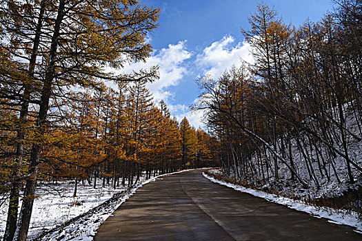 阿尔山雪景