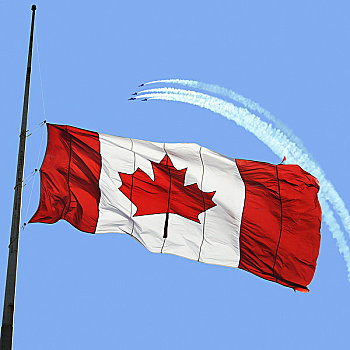 加拿大国旗,雪鸟,背景