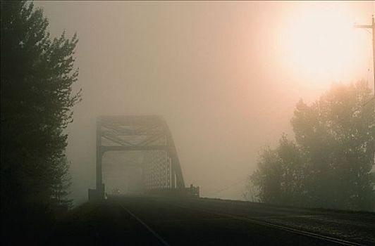 汽车,穿过,雾状,桥,不列颠哥伦比亚省,加拿大
