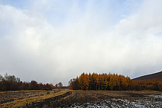 阿尔山雪景