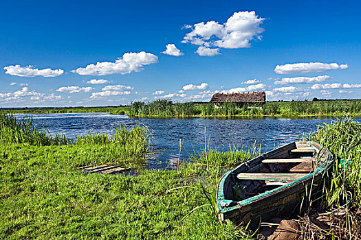 船,河,靠近,乡村,国家公园,波兰,欧洲