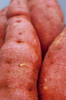 人类很重要的主食之一,蕃薯,也叫地瓜