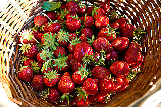 新鲜,汇集,草莓