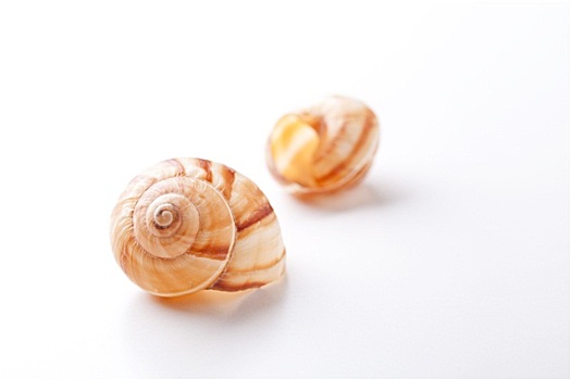 两个,蜗牛,壳