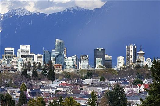 住宅区,市区,背景,温哥华,不列颠哥伦比亚省,加拿大
