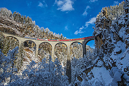 高速列车,雪,木头,瑞士,欧洲