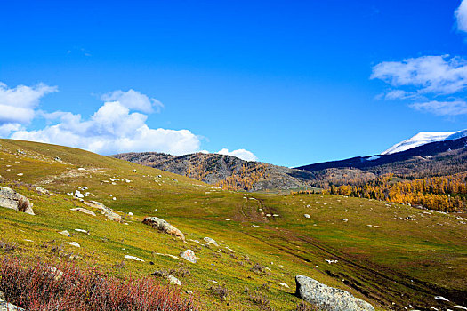 西北第一村白哈巴金秋盛景