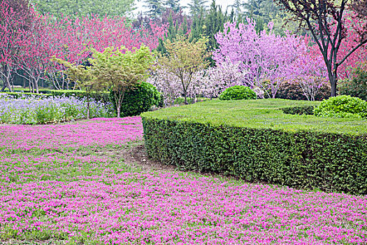 春暖花开