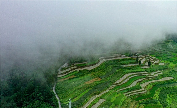 重庆酉阳乡村雨中梯田美