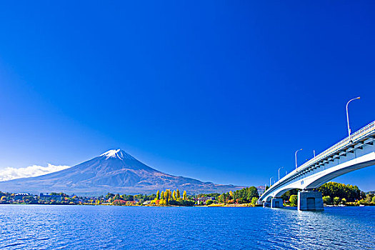 山,富士山,秋叶,湖