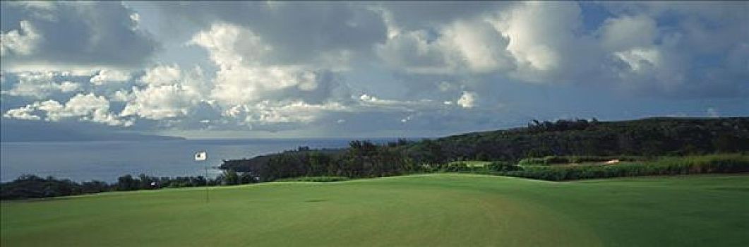 夏威夷,毛伊岛,卡帕鲁亚湾,胜地,高尔夫球杆,种植园,场地,绿色,旗帜,水,背景,全景