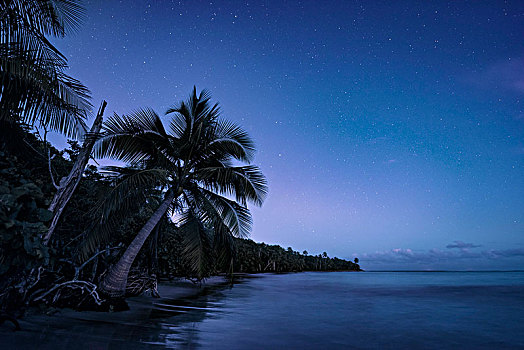 加勒比,夜晚,星,黎明,梦幻爱情海滩,波多黎各