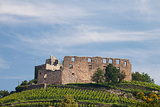 城堡,遗址,布赖施高,黑森林,巴登符腾堡,德国,欧洲