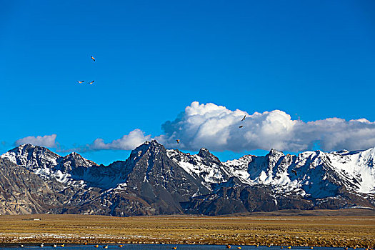 雪山和湿地