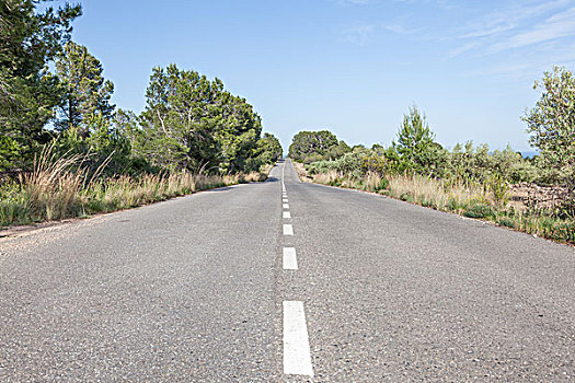 乡间小路,风景